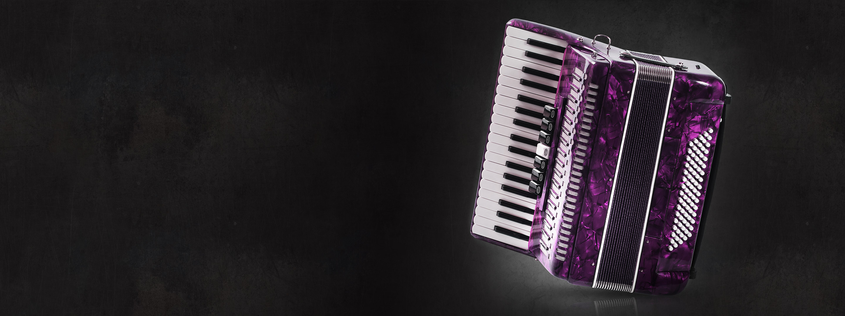 Silvestri Accordion