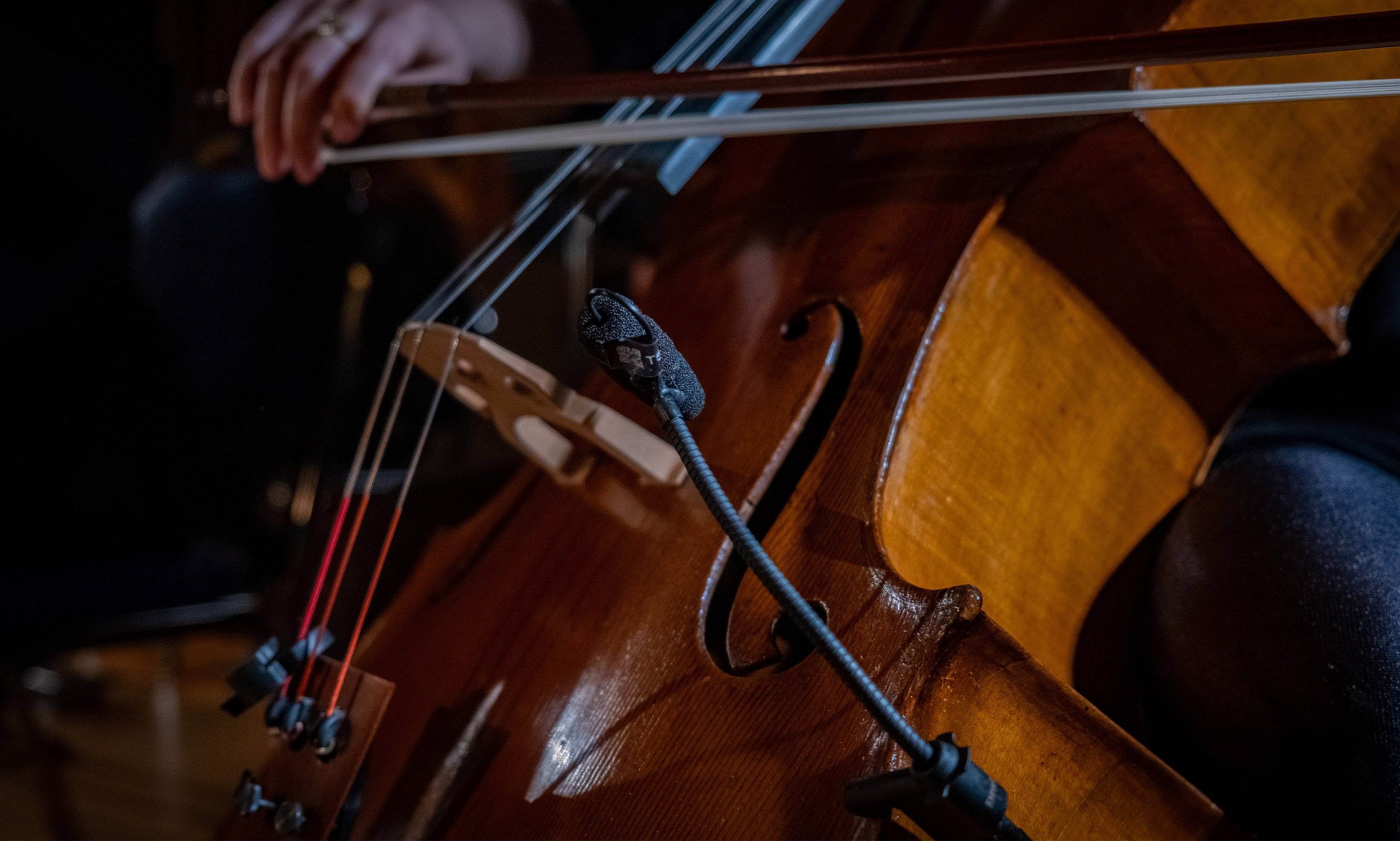 Cello Section