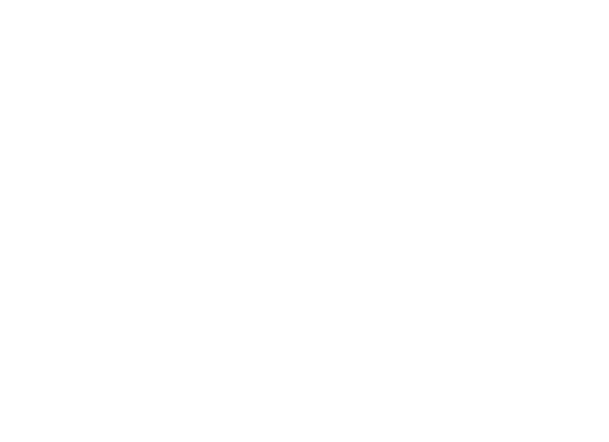 Bass