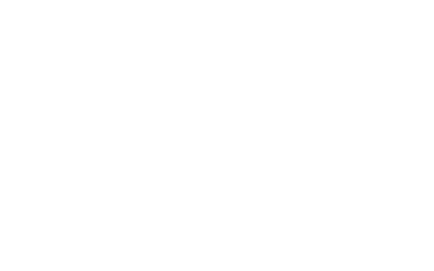 Leads